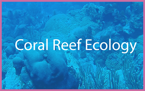 Coral Reef Ecology