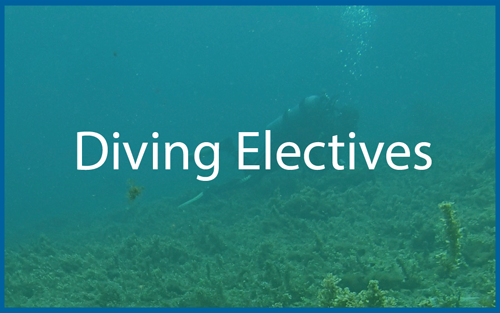 Diving Courses