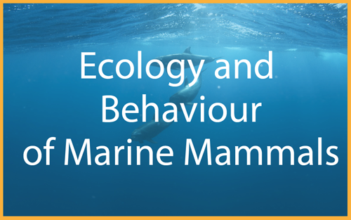 Ecology and Behaviour of Marine Mammals