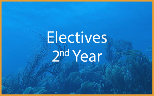 Other Electives: 2nd year