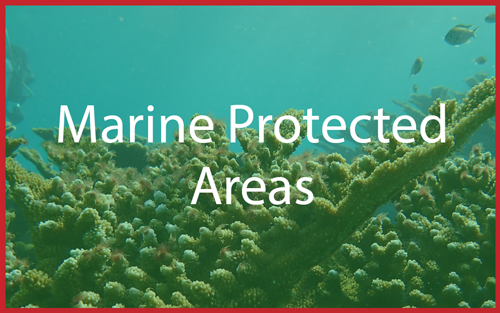 Marine Protected Areas