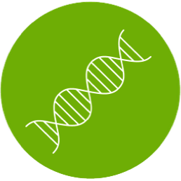 Techniques in Molecular and Cellular Biology