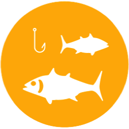 Fisheries Biology & Ecology