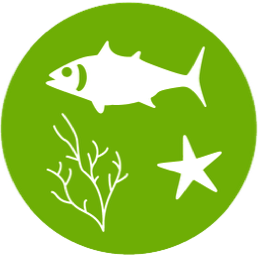 Marine Biology Population Studies