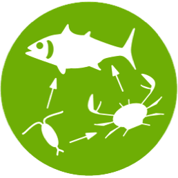 Aquatic Ecosystem Dynamics