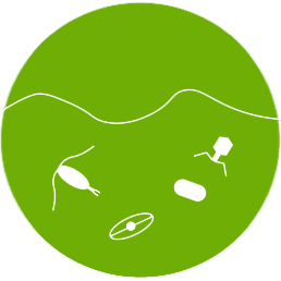 Advanced Methods in Biological Oceanography